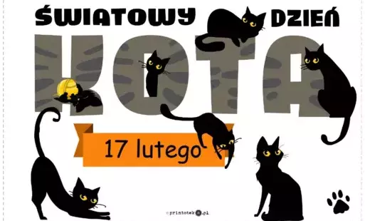 Zdjęcie do Dzień Kota