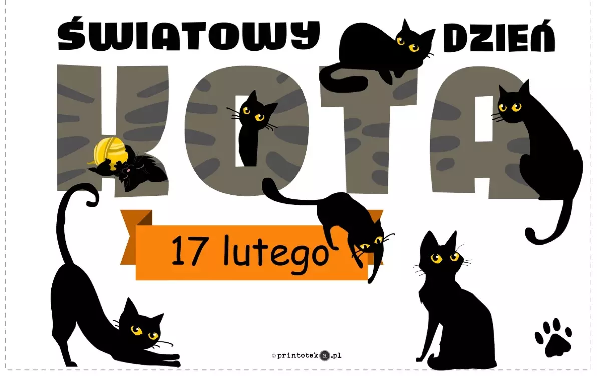 Zdjęcie do Dzień Kota