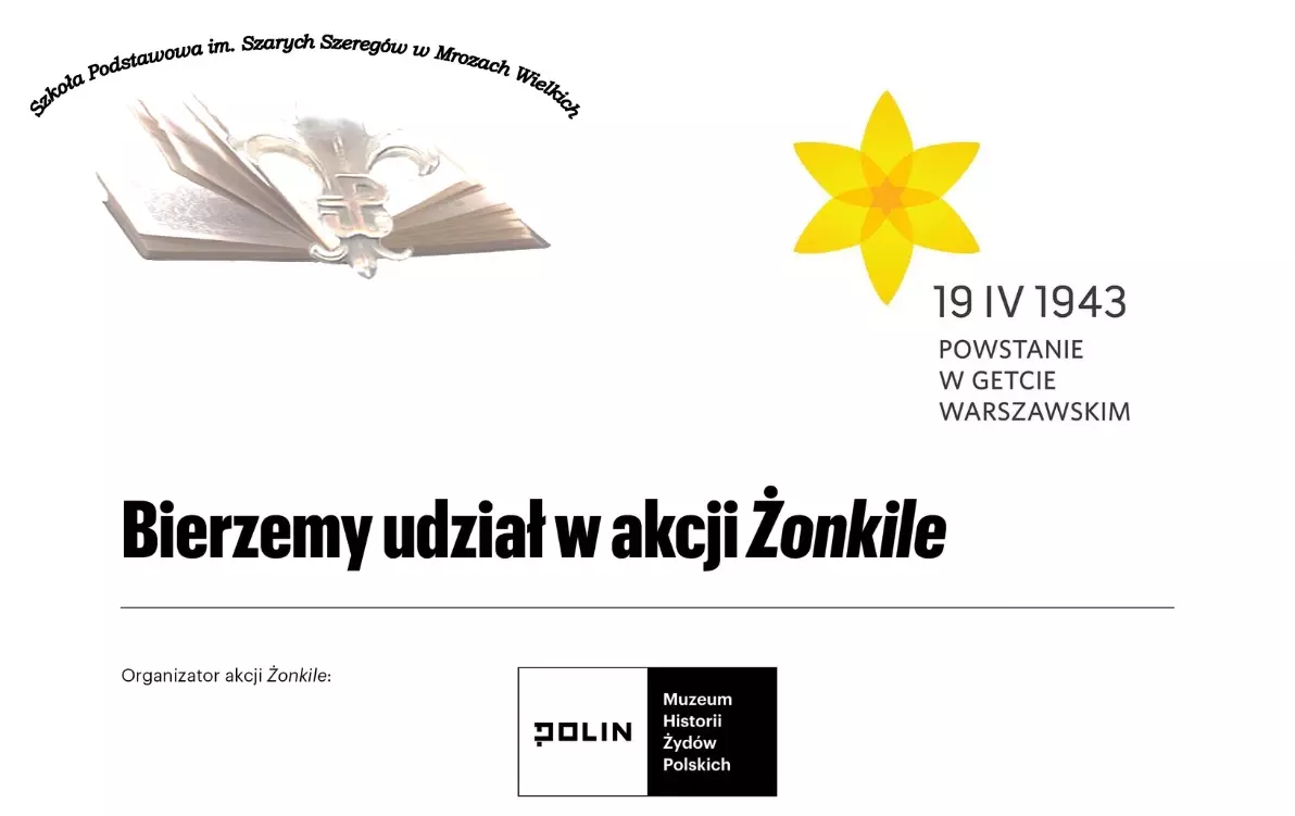 Zdjęcie do Akcja "Żonkile"