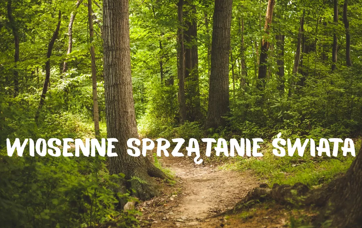 Zdjęcie do Wiosenne sprzątanie świata