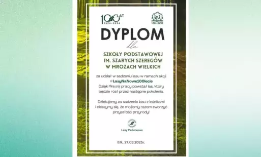 Zdjęcie do Podziękowanie za udział w akcji sadzenia lasu