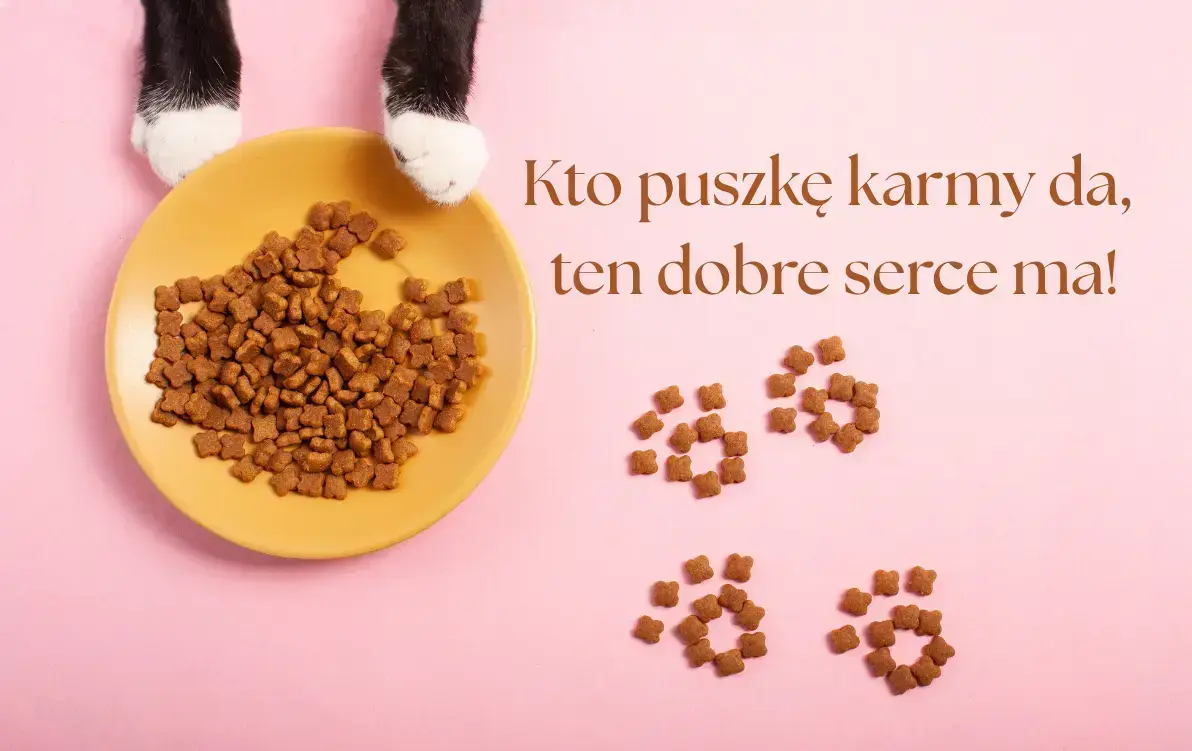 Zdjęcie do Zbi&oacute;rka kociej karmy