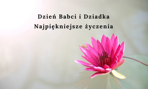 Zdjęcie do Życzenia z okazji Dnia Babci Dnia Dziadka